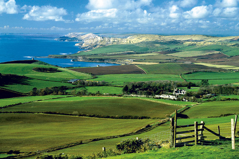 Protecting Your Environment for Future Generations
